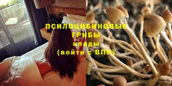 мдпв Ивантеевка