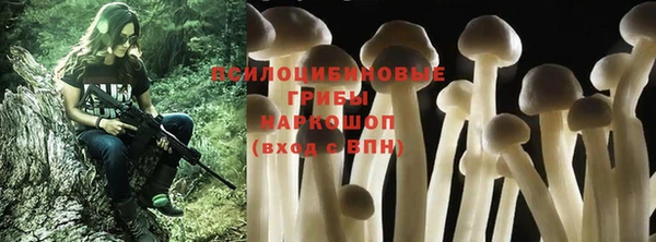 mix Алексин