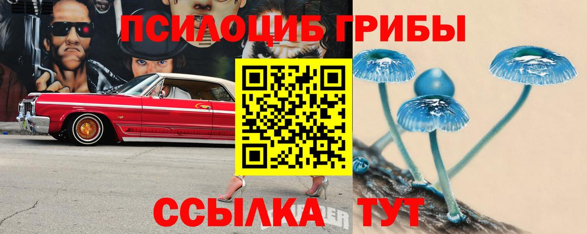 Псилоцибиновые грибы Psilocybine cubensis  Вход с VPN  дарнет шоп  Галлюциногенные грибы MAGIC MUSHROOMS  Канаш 