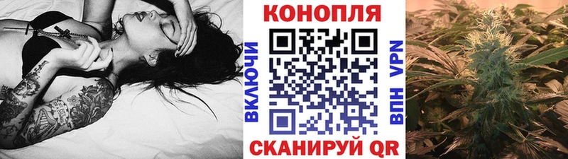 Бошки Шишки ГИДРОПОН  Канаш 